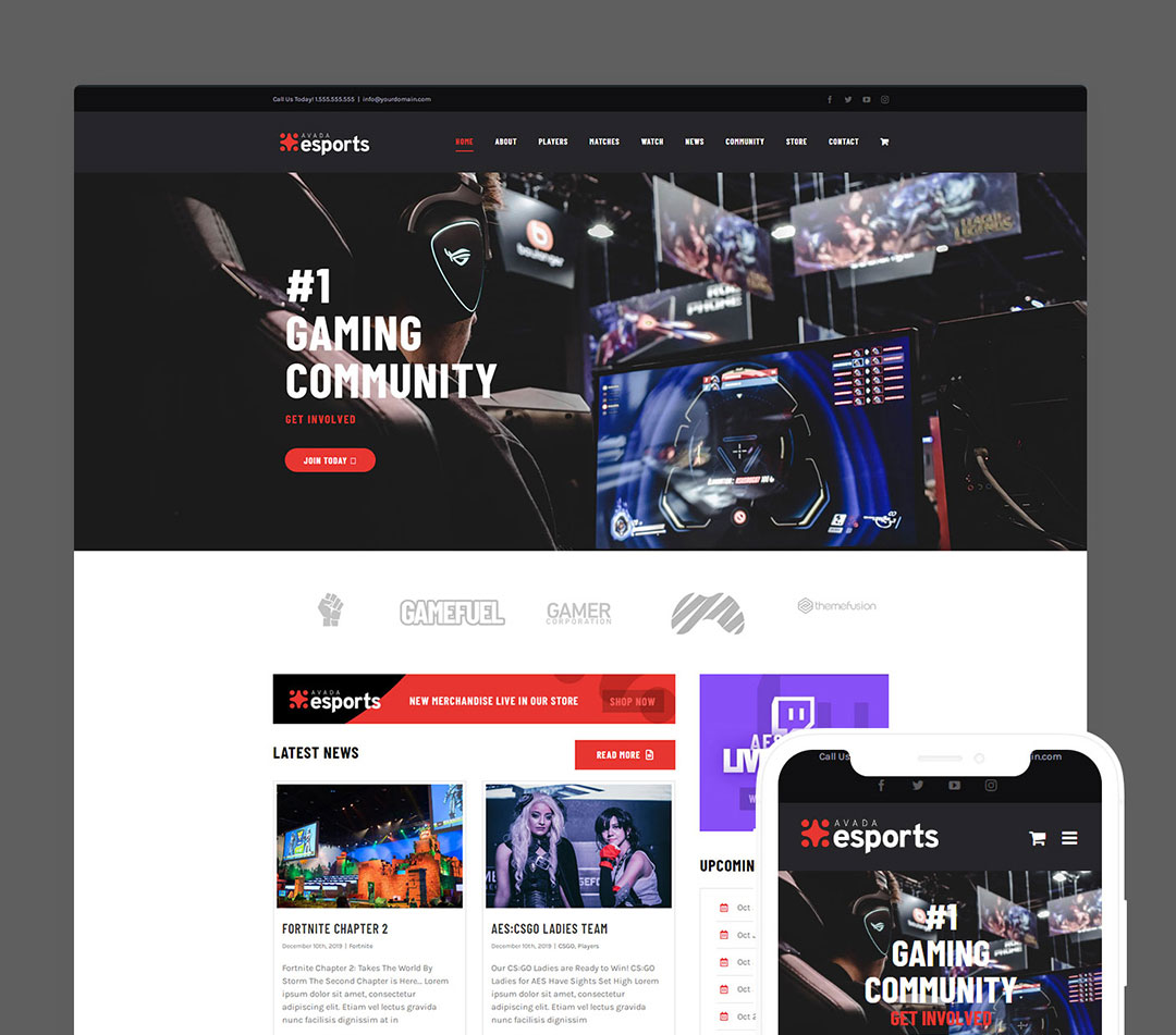 Avada Esports Prebuilt Website